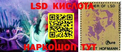 прущие грибы Бузулук