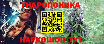 прущие грибы Бузулук